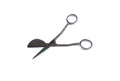 Barnwell Napping shears